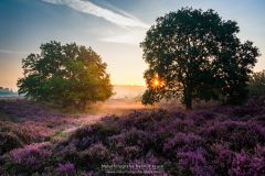 Nationalpark De Meinweg