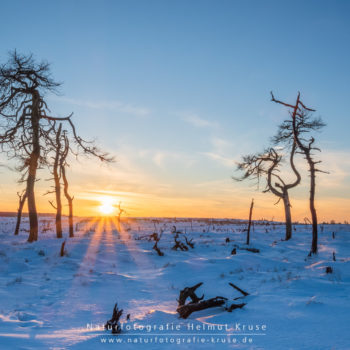 Fotokurs Hohes Venn