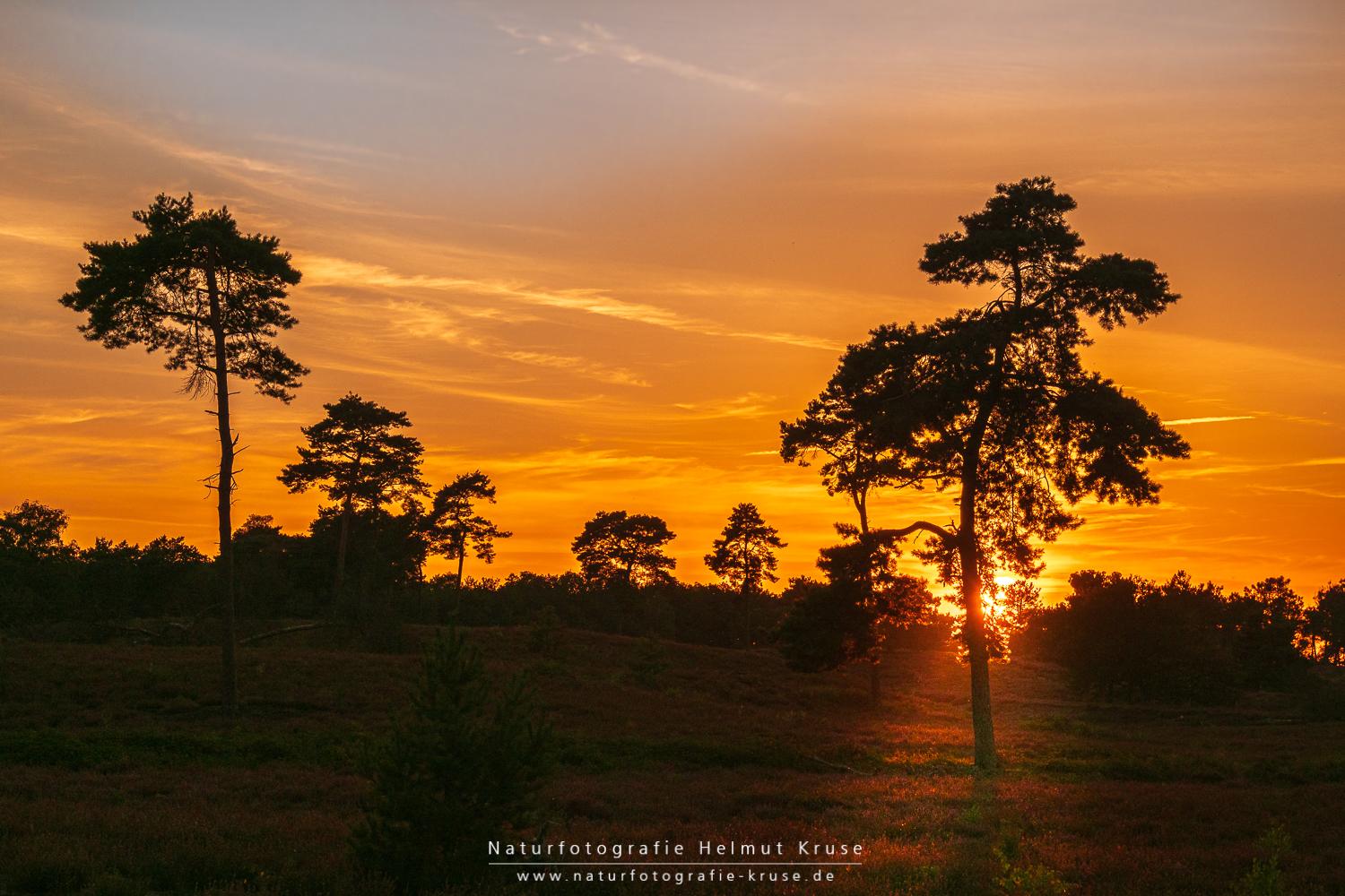 Fotoworkshop "Landschaftsfotografie im Nationalpark De Maasduinen" Fotoworkshop Landschaftsfotografie De Maasduinen
