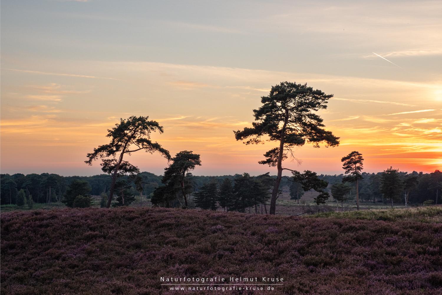 Fotoworkshop "Landschaftsfotografie im Nationalpark De Maasduinen" Fotoworkshop Landschaftsfotografie De Maasduinen