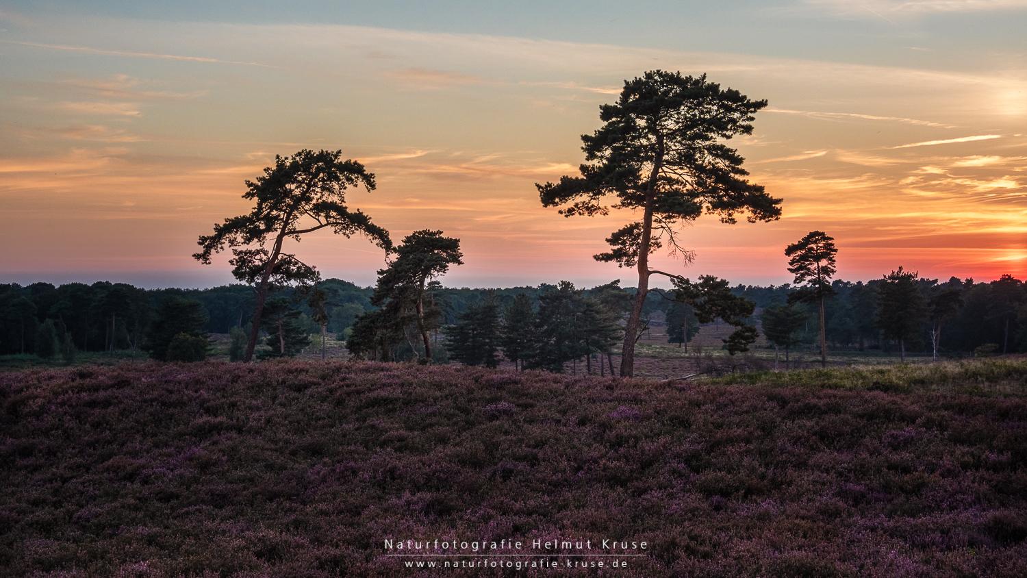 Fotoworkshop "Landschaftsfotografie im Nationalpark De Maasduinen" Fotoworkshop Landschaftsfotografie De Maasduinen
