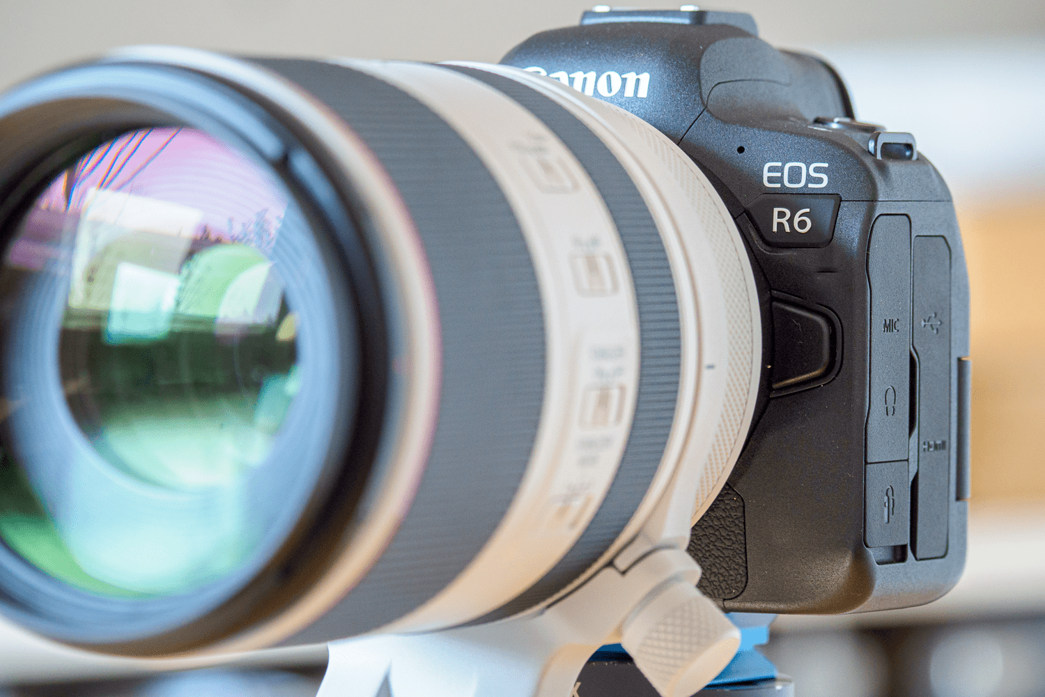 Canon EOS R6 vs. Olympus E-M1 II HKR9200