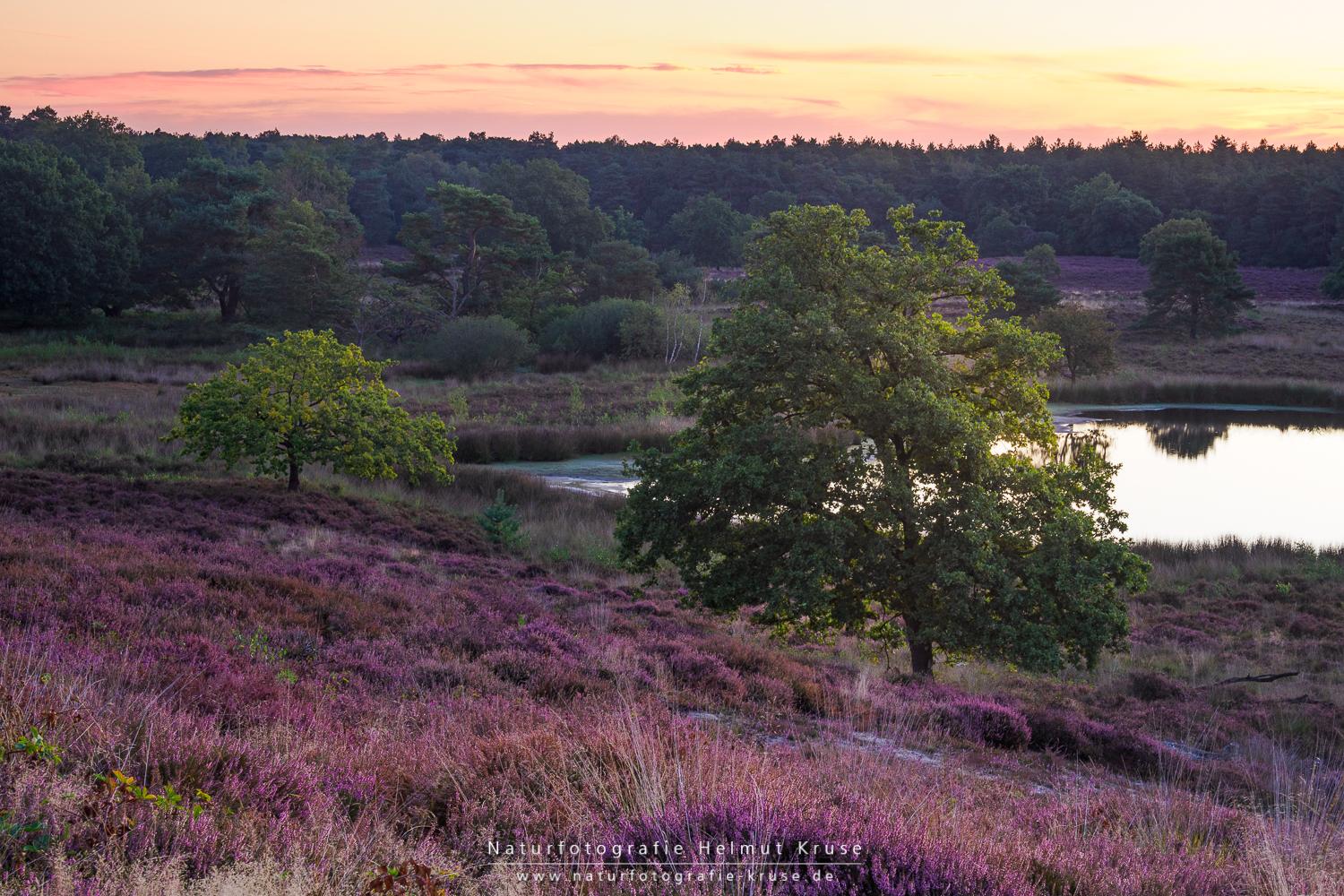 Fotoworkshop "Landschaftsfotografie im Nationalpark De Maasduinen" Fotoworkshop Landschaftsfotografie De Maasduinen