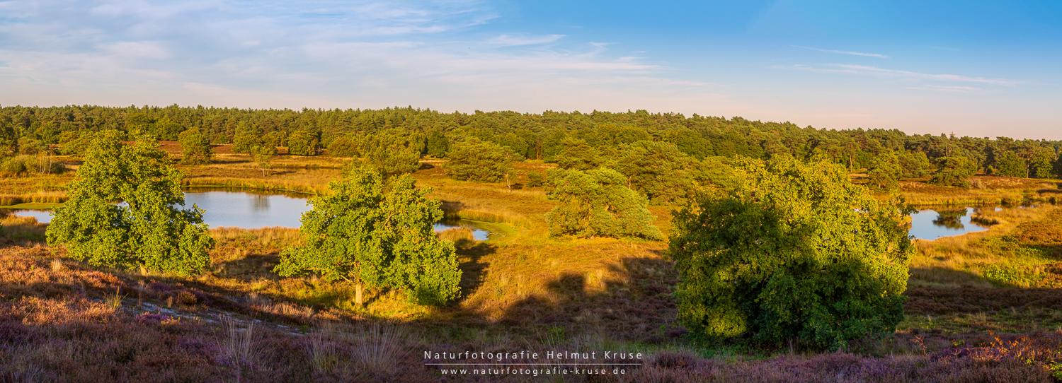 Fotoworkshop "Landschaftsfotografie im Nationalpark De Maasduinen" Fotoworkshop Landschaftsfotografie De Maasduinen
