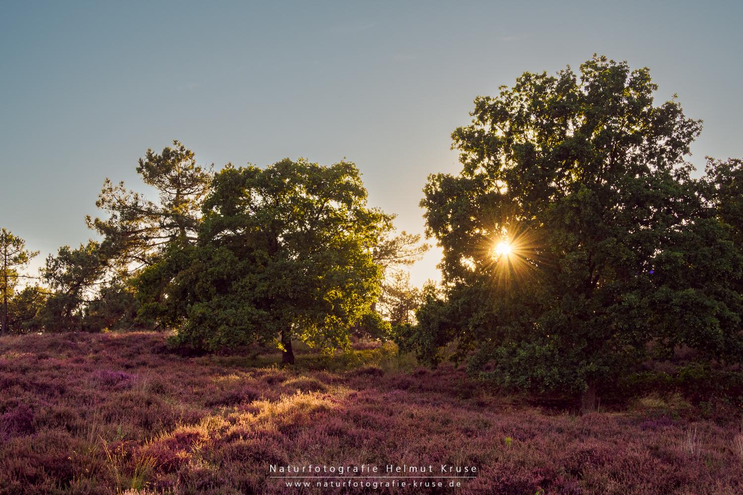 Fotoworkshop "Landschaftsfotografie im Nationalpark De Maasduinen" p9190047