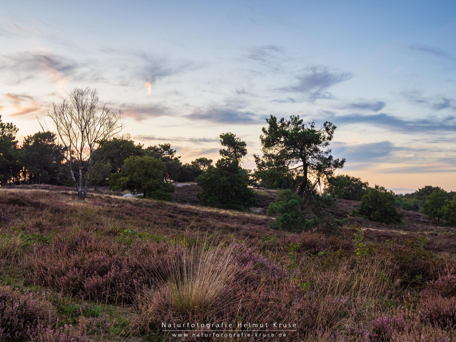 Fotoworkshop "Landschaftsfotografie im Nationalpark De Maasduinen" Fotoworkshop Landschaftsfotografie De Maasduinen