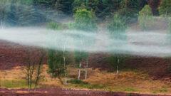 Presse Pressefoto Helmut Kruse Nebel über dem Brachter Wald