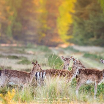 Landschaftsfotografie