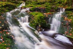 Presse Fotografie am Wildbach