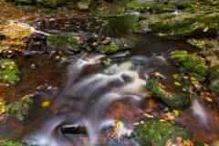 Presse Fotografie am Wildbach