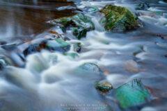 Presse Fotografie am Wildbach