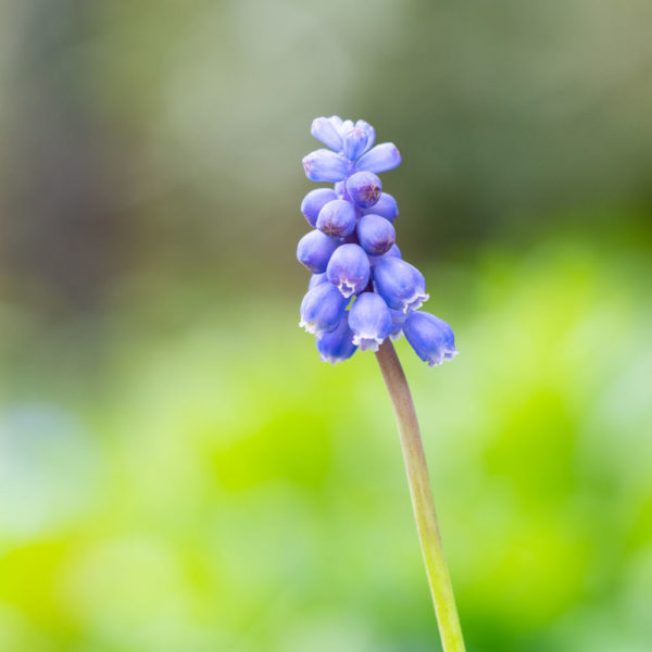 testbericht-samyang-135-f2-0-13-600x600.